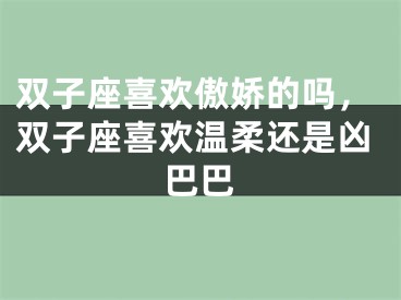 双子座喜欢傲娇的吗,双子座喜欢温柔还是凶巴巴