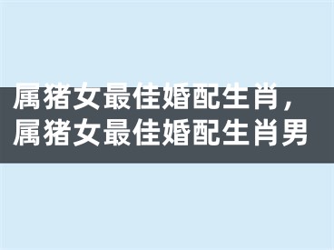 属猪女最佳婚配生肖，属猪女最佳婚配生肖男