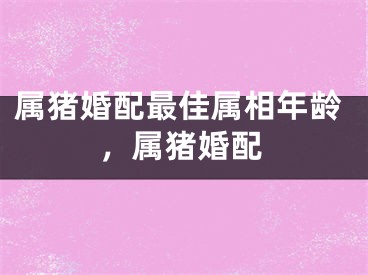 属猪婚配最佳属相年龄，属猪婚配