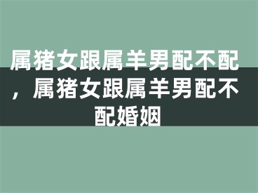 属猪女跟属羊男配不配，属猪女跟属羊男配不配婚姻