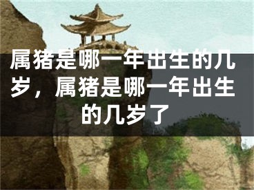 属猪是哪一年出生的几岁，属猪是哪一年出生的几岁了