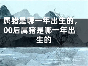 属猪是哪一年出生的，00后属猪是哪一年出生的