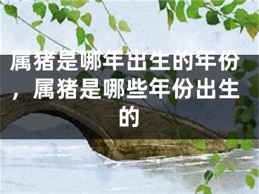 属猪是哪年出生的年份，属猪是哪些年份出生的