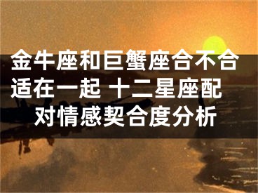 金牛座和巨蟹座合不合适在一起 十二星座配对情感契合度分析