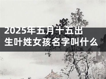 2025年五月十五出生叶姓女孩名字叫什么