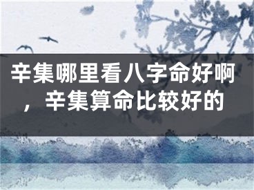 辛集哪里看八字命好啊，辛集算命比较好的
