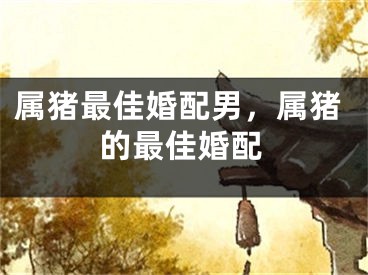 属猪最佳婚配男，属猪的最佳婚配