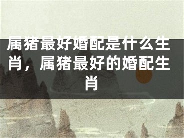 属猪最好婚配是什么生肖，属猪最好的婚配生肖