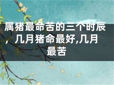 属猪最命苦的三个时辰,几月猪命最好,几月最苦