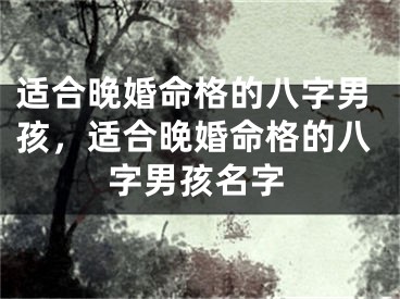 适合晚婚命格的八字男孩，适合晚婚命格的八字男孩名字