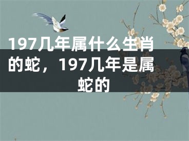 197几年属什么生肖的蛇,197几年是属蛇的