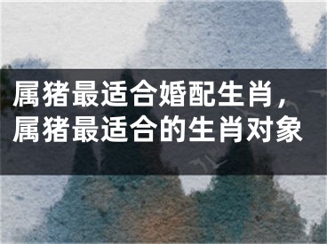 属猪最适合婚配生肖,属猪最适合的生肖对象