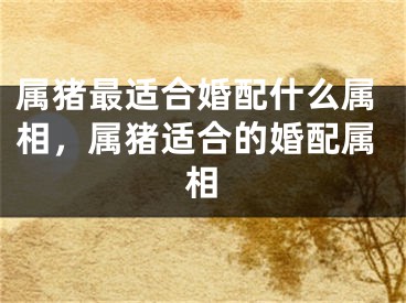 属猪最适合婚配什么属相，属猪适合的婚配属相