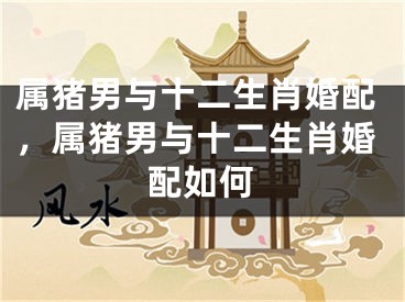 属猪男与十二生肖婚配，属猪男与十二生肖婚配如何