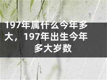 197年属什么今年多大,197年出生今年多大岁数