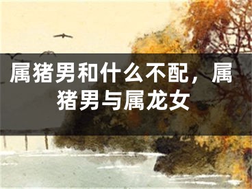 属猪男和什么不配，属猪男与属龙女