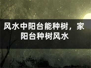 风水中阳台能种树，家阳台种树风水