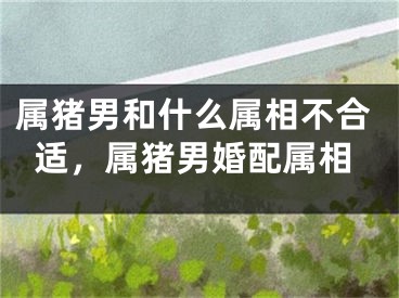 属猪男和什么属相不合适，属猪男婚配属相
