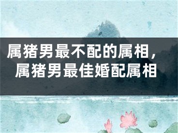 属猪男最不配的属相，属猪男最佳婚配属相