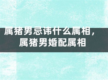 属猪男忌讳什么属相，属猪男婚配属相
