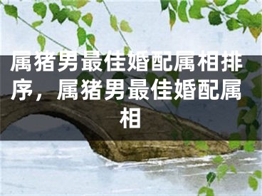 属猪男最佳婚配属相排序，属猪男最佳婚配属相