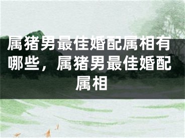 属猪男最佳婚配属相有哪些，属猪男最佳婚配属相