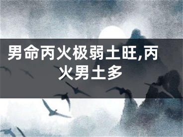 男命丙火极弱土旺,丙火男土多