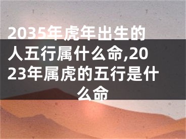 2035年虎年出生的人五行属什么命,2023年属虎的五行是什么命