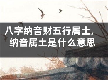 八字纳音财五行属土,纳音属土是什么意思