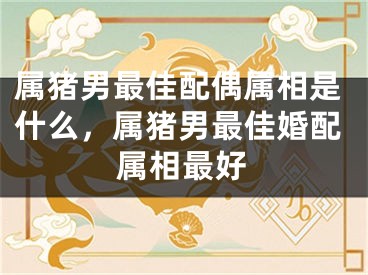 属猪男最佳配偶属相是什么，属猪男最佳婚配属相最好