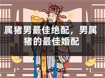 属猪男最佳绝配,男属猪的最佳婚配