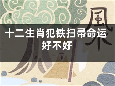 十二生肖犯铁扫帚命运好不好