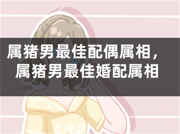属猪男最佳配偶属相，属猪男最佳婚配属相