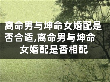 离命男与坤命女婚配是否合适,离命男与坤命女婚配是否相配