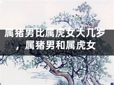 属猪男比属虎女大几岁，属猪男和属虎女
