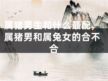 属猪男生和什么最配，属猪男和属兔女的合不合