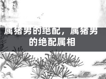 属猪男的绝配，属猪男的绝配属相