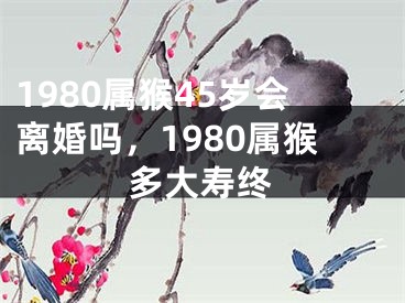 1980属猴45岁会离婚吗，1980属猴多大寿终