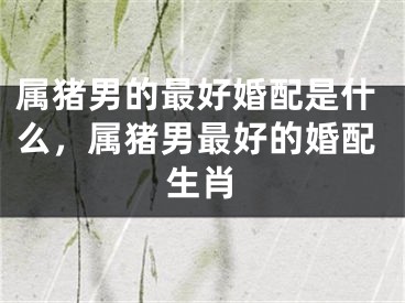属猪男的最好婚配是什么，属猪男最好的婚配生肖