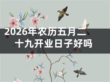 2026年农历五月二十九开业日子好吗