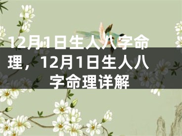 12月1日生人八字命理，12月1日生人八字命理详解