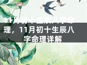 11月初十生辰八字命理，11月初十生辰八字命理详解