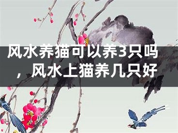 风水养猫可以养3只吗，风水上猫养几只好