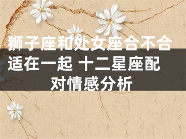 狮子座和处女座合不合适在一起 十二星座配对情感分析