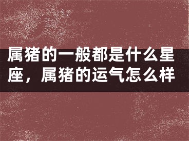 属猪的一般都是什么星座，属猪的运气怎么样