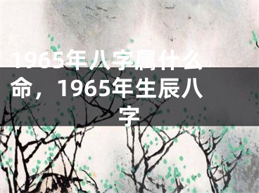 1965年八字属什么命，1965年生辰八字