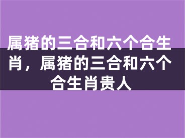 属猪的三合和六个合生肖，属猪的三合和六个合生肖贵人