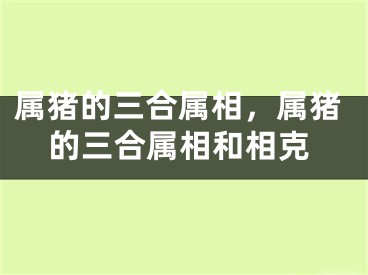 属猪的三合属相，属猪的三合属相和相克