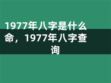 1977年八字是什么命，1977年八字查询