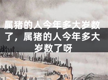 属猪的人今年多大岁数了，属猪的人今年多大岁数了呀